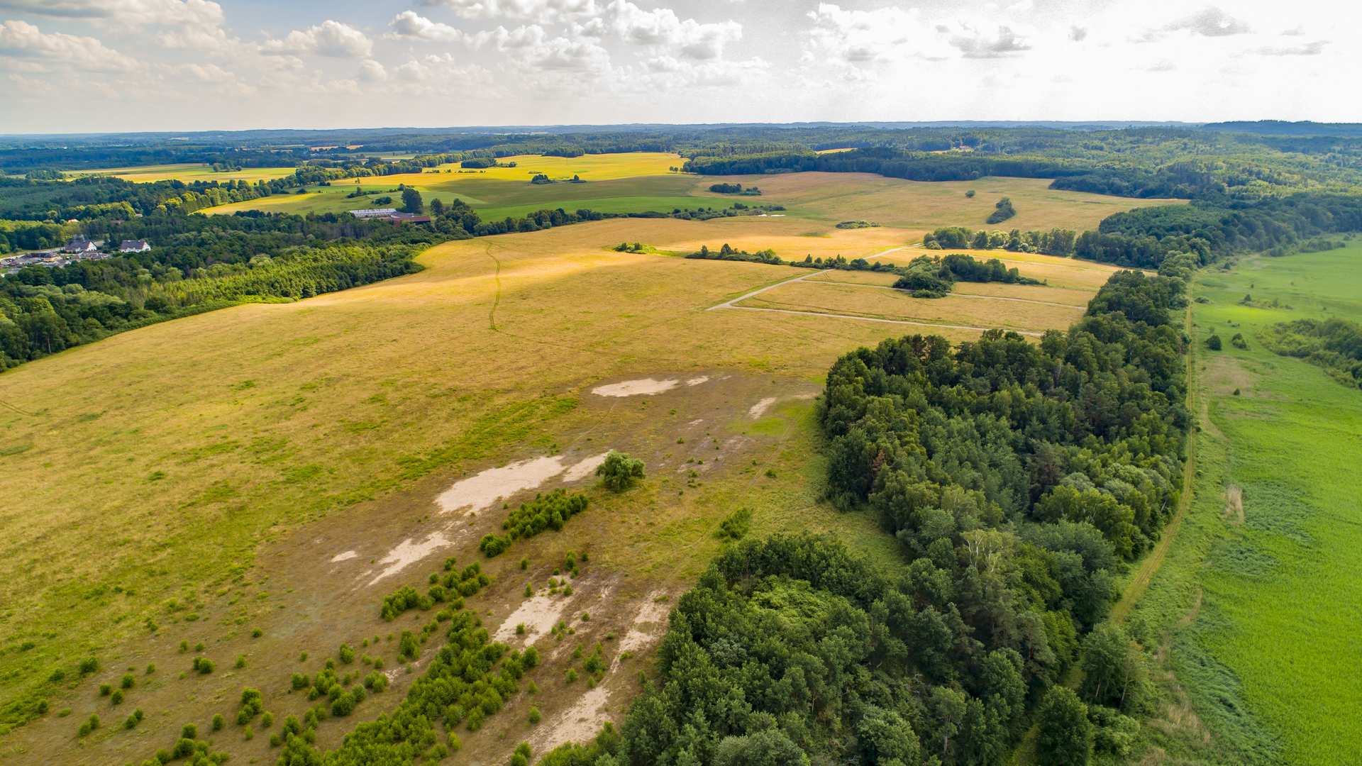 Narusa – działki 3000 m² nad Zalewem Wiślanym — zdjęcie 8